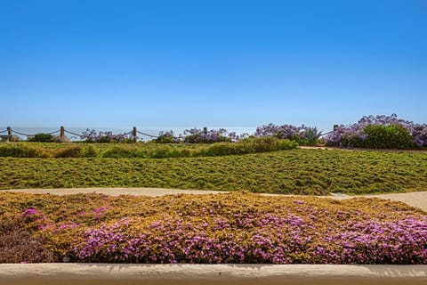 Tide and True - SUR129S House in Solana Beach