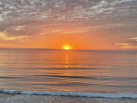 King of the Beach - SUR79 House in Solana Beach
