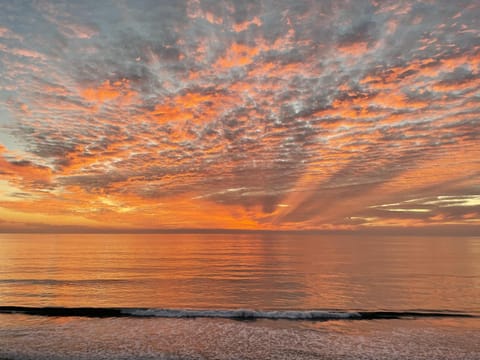 King of the Beach - SUR79 House in Solana Beach