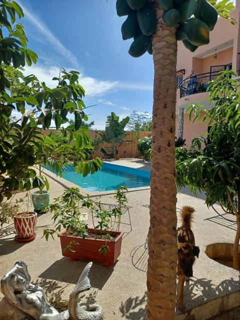 Garden, Garden view, Pool view, Swimming pool, sunbed
