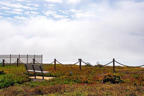 Villa del Pacifico - SONG20 House in Solana Beach