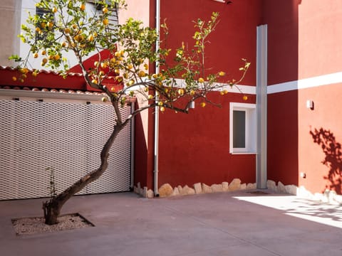 Garden, Inner courtyard view