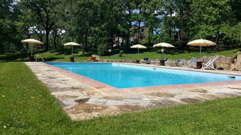 Garden, Swimming pool