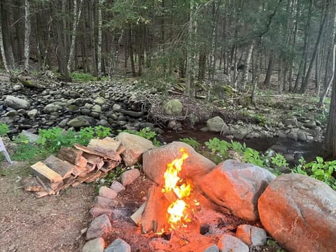 Twin Pines Lake Resort 1 House in Great Sacandaga Lake