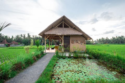 Property building, Spring, Day, Natural landscape, Garden, Garden view