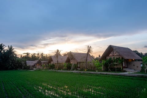 Property building, Spring, Day, Natural landscape, Garden, Garden, Garden view, Sunrise, Sunset