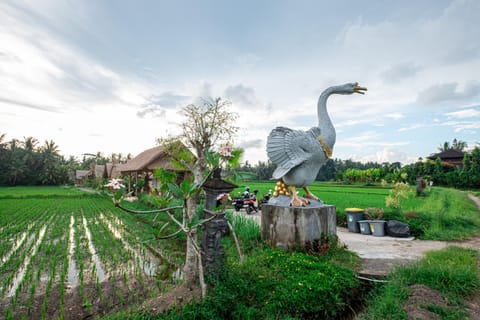 Nearby landmark, Spring, Day, Natural landscape, Garden, Animals, Garden view