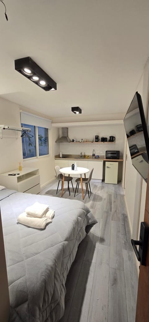 Photo of the whole room, pet friendly