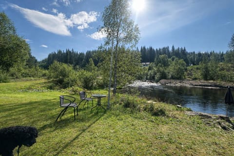 River view, River view