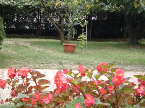 Garden, Text overlay, Garden view