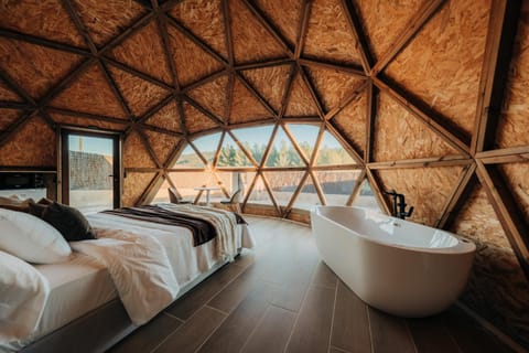 Bed, Photo of the whole room