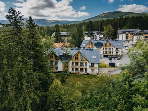 Property building, Bird's eye view, Mountain view