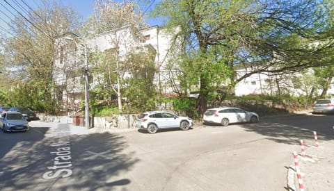 Day, Neighbourhood, Garden, Street view, Location