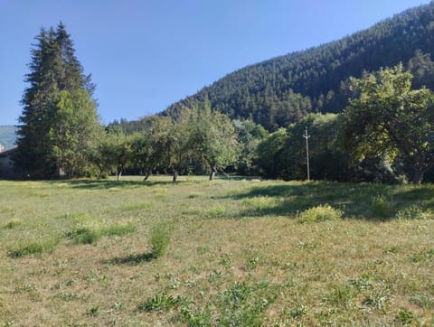 Maison carrée - domaine du vieux tilleul House in Auvergne-Rhône-Alpes