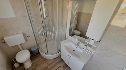 Toilet, Bathroom, bidet, towels