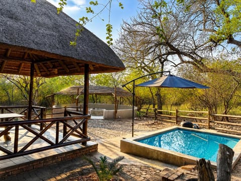 Property building, Patio, Day, Natural landscape, Garden, Garden view, Pool view, Swimming pool