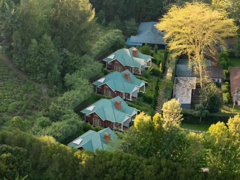 Property building, Restaurant/places to eat, Breakfast