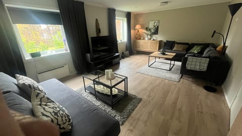 TV and multimedia, Living room, Photo of the whole room, Seating area