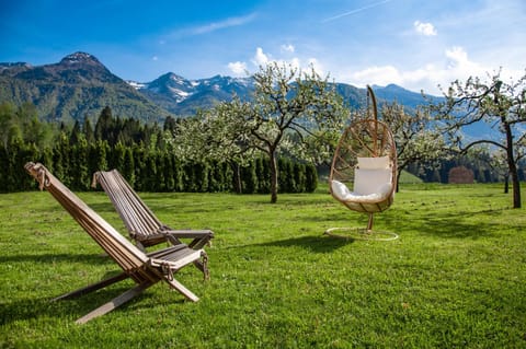 Patio, Garden, Mountain view