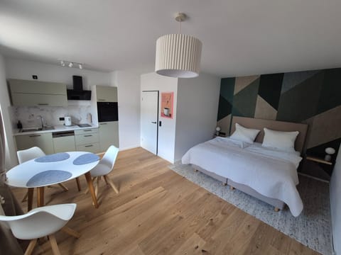 Bed, Kitchen or kitchenette, Photo of the whole room, Seating area, Bedroom