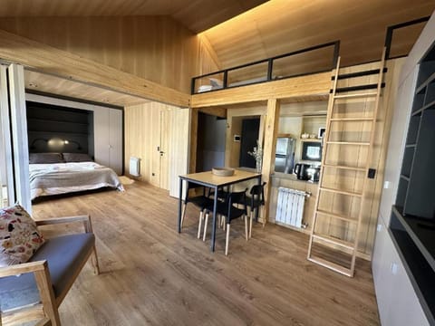 Bed, TV and multimedia, Kitchen or kitchenette, Living room, Dining area, Bedroom