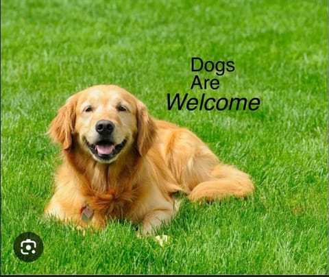 Forest hart House in New Milton