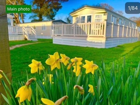 Forest hart House in New Milton