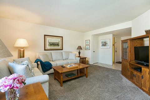 Beachy Keen & Cleen - DMBC148S House in Solana Beach