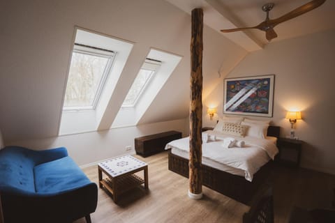 Photo of the whole room