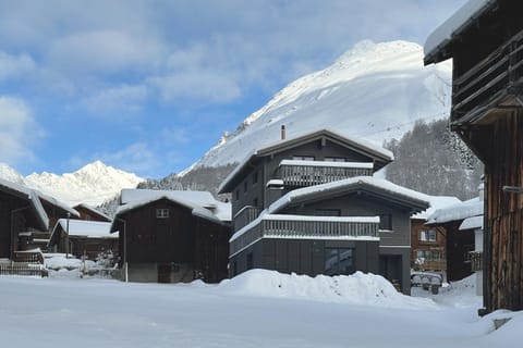 Property building, Natural landscape, Winter, Mountain view