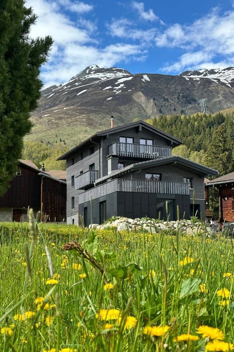 Property building, Summer