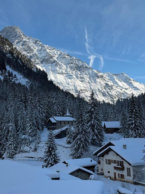 Spacious apartment Apartment in Bagnes