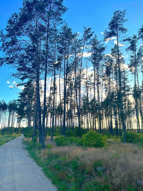 Domek w Ostrowite House in Pomeranian Voivodeship