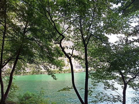 Natural landscape, River view