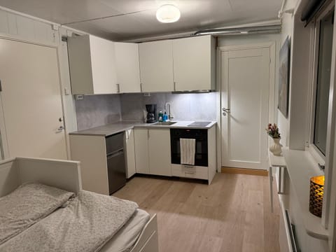 New luxurious Aurora apartment Apartment in Tromso