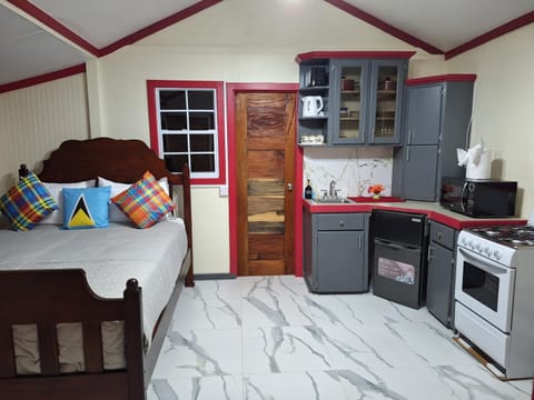 Bed, Kitchen or kitchenette, Photo of the whole room, Dining area, Bedroom, oven, stove, toaster
