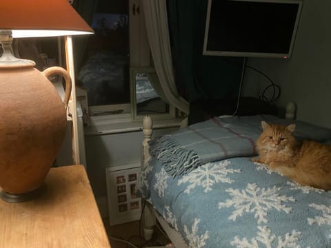 Comfy Cosy , Tv, mic, fridge Vacation rental in Chester