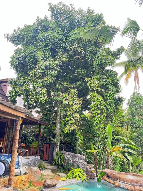 Tan Manggis house Bed and Breakfast in Tampaksiring