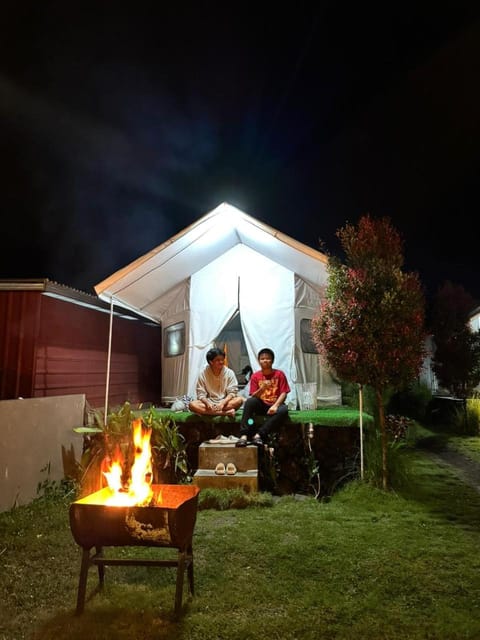 Night, Garden, Garden view