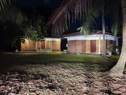 Property building, Night, Natural landscape, Garden view