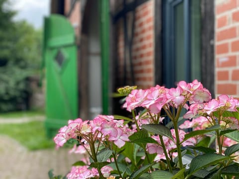 Reet-Cottage Nahe der Ostsee House in Eutin