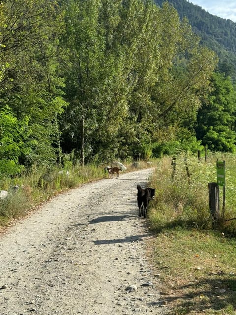 Casa Annalisa Bed and Breakfast in Canton of Ticino