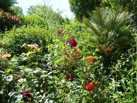 Spring, Day, Natural landscape, Garden, Garden view