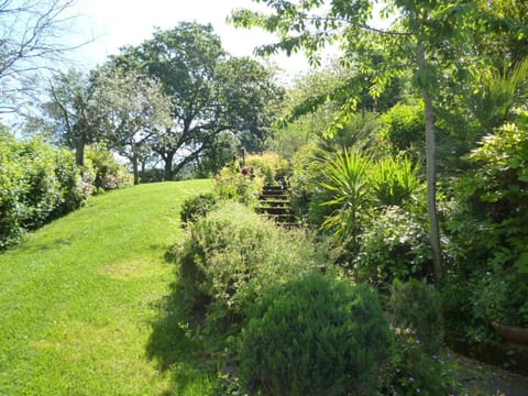 Spring, Day, Natural landscape, Garden, Garden view
