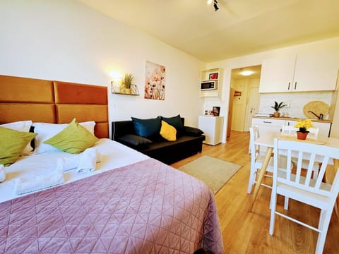 Bed, Kitchen or kitchenette, Living room, Photo of the whole room, Dining area, Bedroom