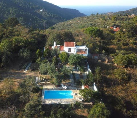 Garden, Swimming pool
