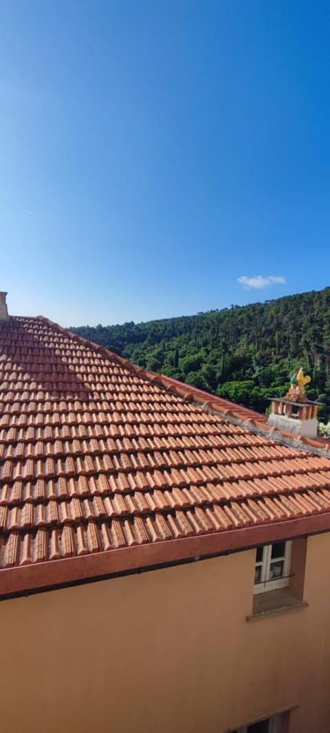 House Ameglia Apartment in Ameglia