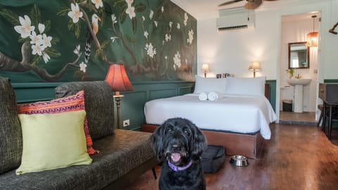 Bed, Bedroom, Pets, Pets, pet friendly, pet friendly