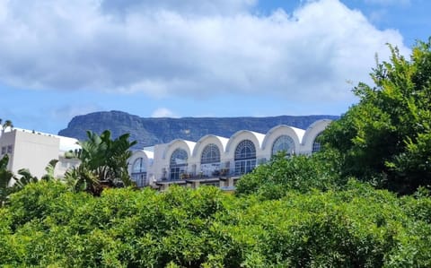 Purple Pearl at Bokaap House in Cape Town