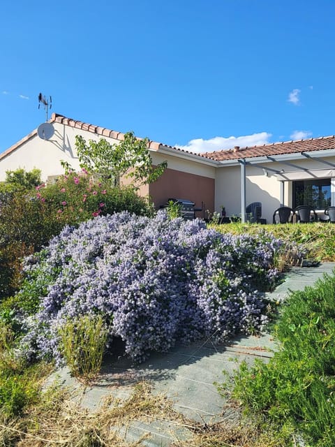 Garden, Garden view